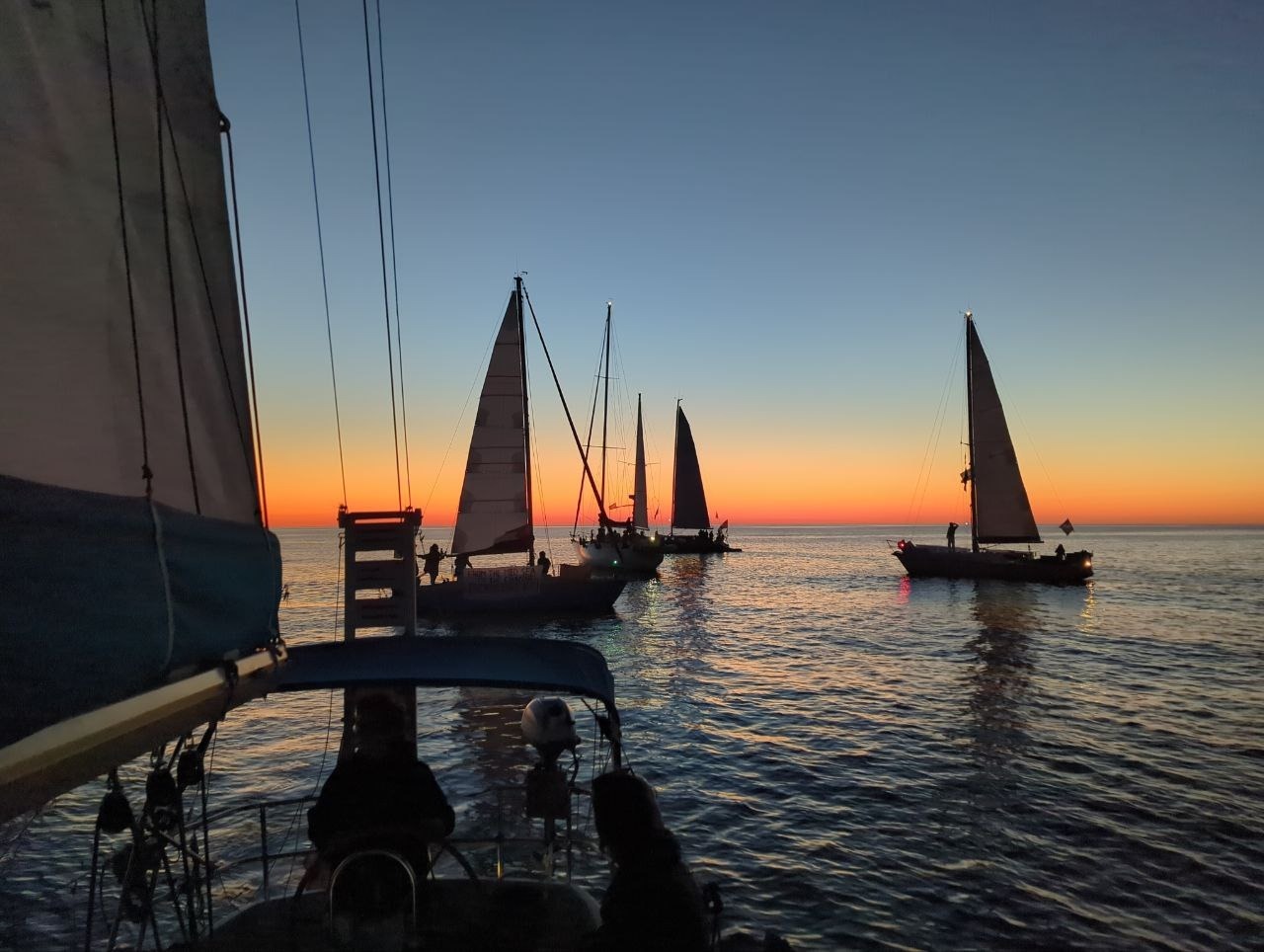 signal-2025-09-26-142823_008